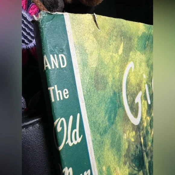 Gidappy Illustrated Children's Book - Picture 13 of 14